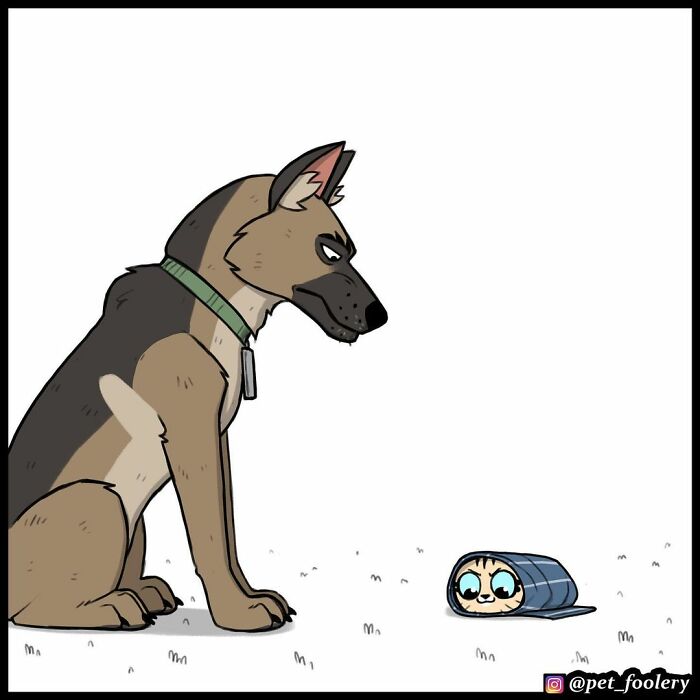 8 New Hilariously Adorable Comics About Pixie And Brutus To Instantly Make Your Day 8 New Hilariously Adorable Comics About Pixie And Brutus To Instantly Make Your Day