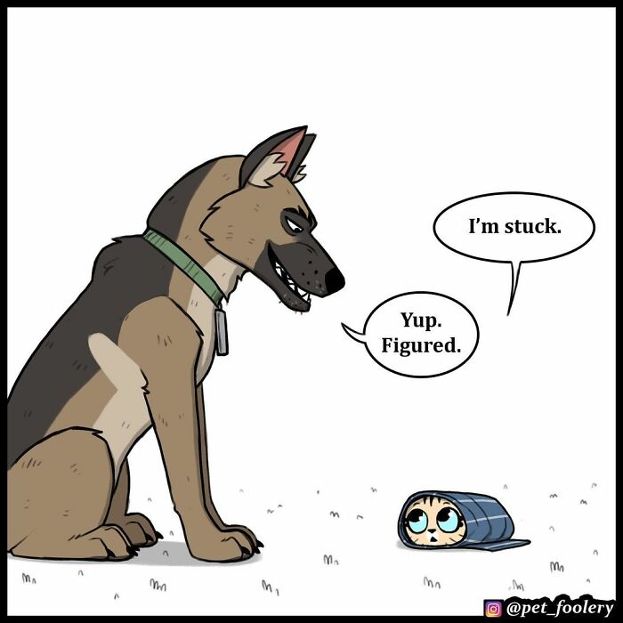 8 New Hilariously Adorable Comics About Pixie And Brutus To Instantly Make Your Day