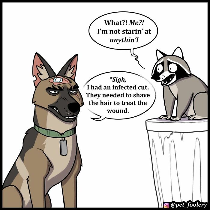 8 New Hilariously Adorable Comics About Pixie And Brutus To Instantly Make Your Day