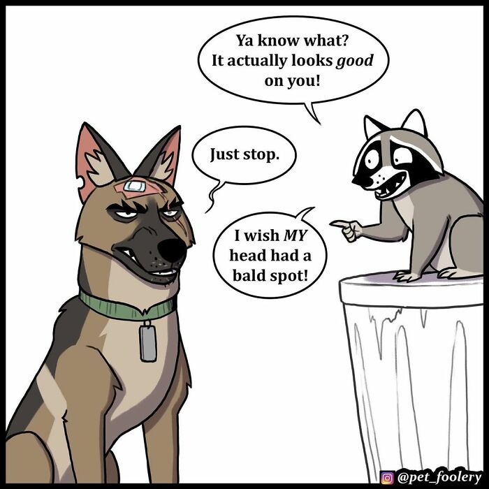 8 New Hilariously Adorable Comics About Pixie And Brutus To Instantly Make Your Day 8 New Hilariously Adorable Comics About Pixie And Brutus To Instantly Make Your Day