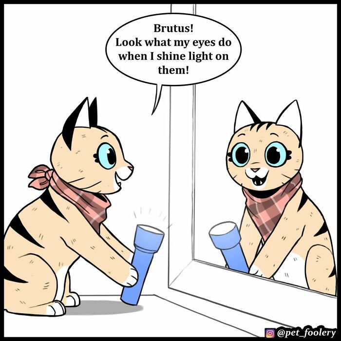 8 New Hilariously Adorable Comics About Pixie And Brutus To Instantly Make Your Day 8 New Hilariously Adorable Comics About Pixie And Brutus To Instantly Make Your Day