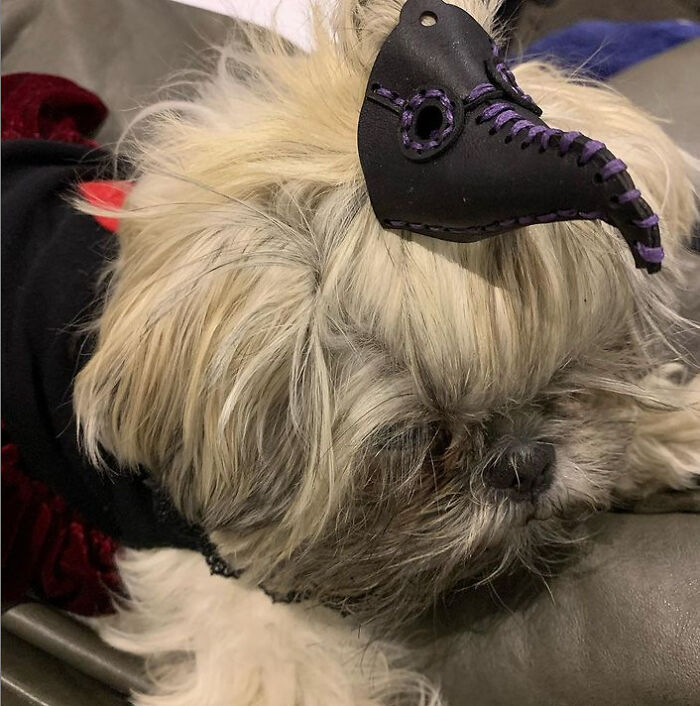 Plague Doctor In 3D!