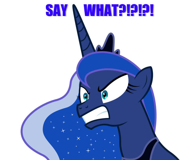 princess_luna_say_what-600a90e4620fe-png.jpg
