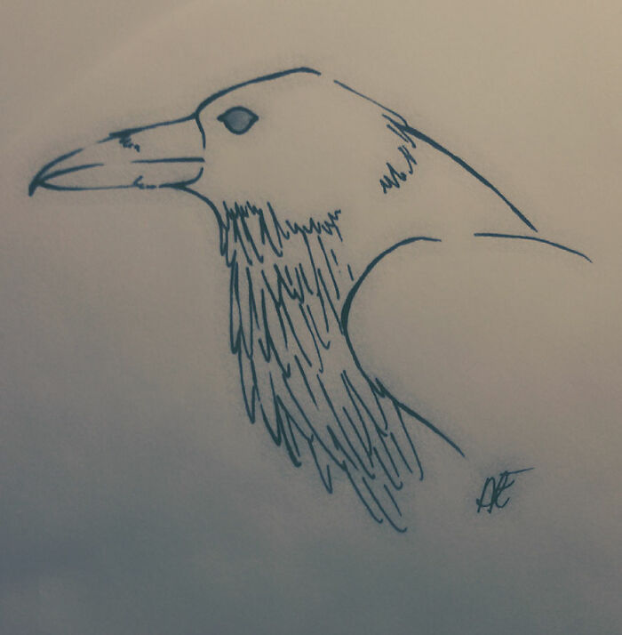 A Raven I Drew A While Ago