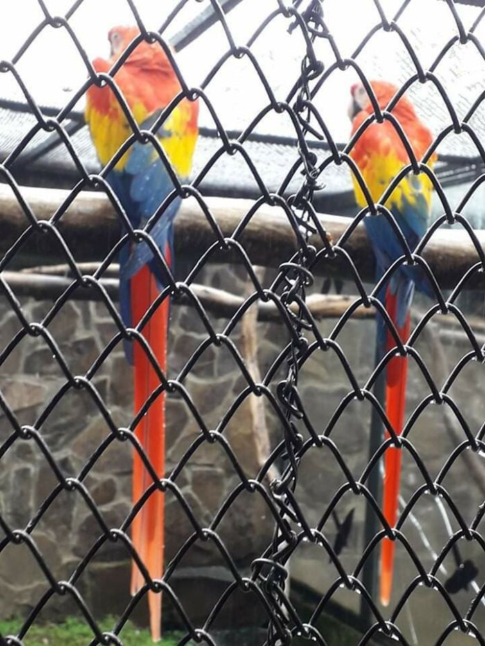 Took This In A Hungarian Zoo