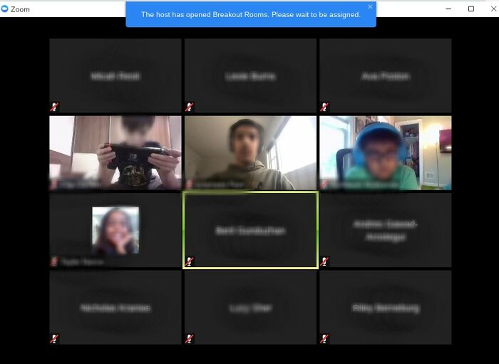 Pandas, Upload A Picture/Screenshot Of Some Of The Weirdest Things You’ve Seen On Your Zoom Classes (Closed)