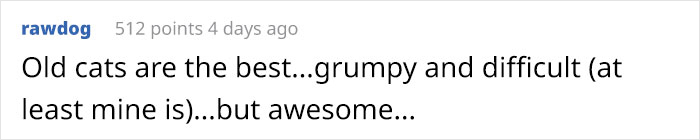 “He’ll Cry And Complain For Hours”: 18-Year-Old Cat Cries If His Sweater Is Taken Off “He’ll Cry And Complain For Hours”: 18-Year-Old Cat Cries If His Sweater Is Taken Off