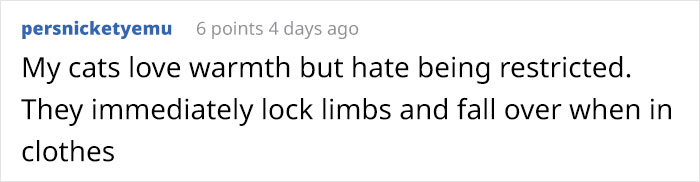 “He’ll Cry And Complain For Hours”: 18-Year-Old Cat Cries If His Sweater Is Taken Off