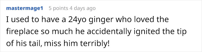 “He’ll Cry And Complain For Hours”: 18-Year-Old Cat Cries If His Sweater Is Taken Off