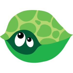 prchrturtle avatar