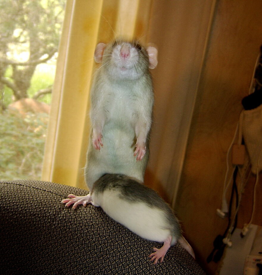 You Always Know Just What To Do To Make Me Smile...