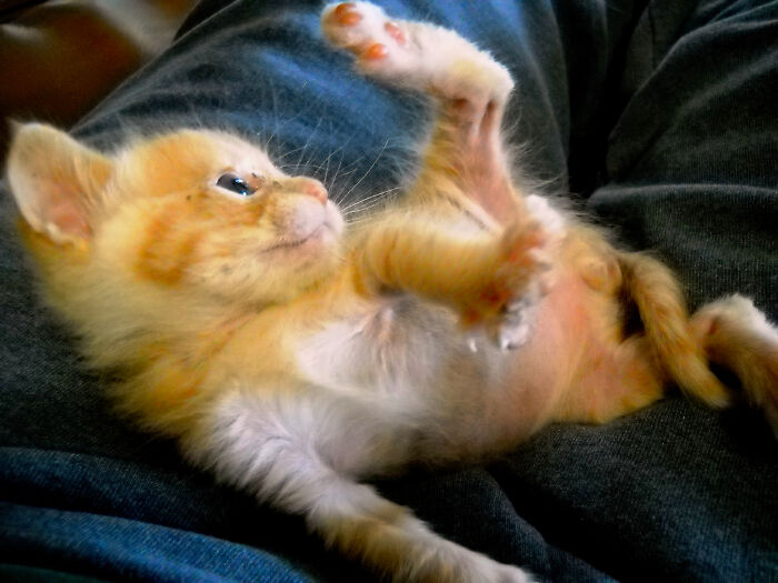 Sometimes The Foot Wins