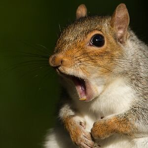 thirteen-wild-rivers avatar