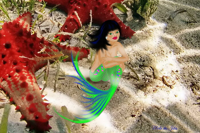 Starlet Mermaid In New Caledonia