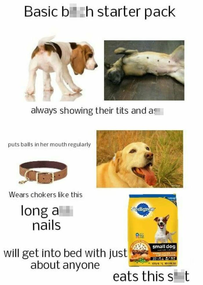 Basic B**** Starter Pack