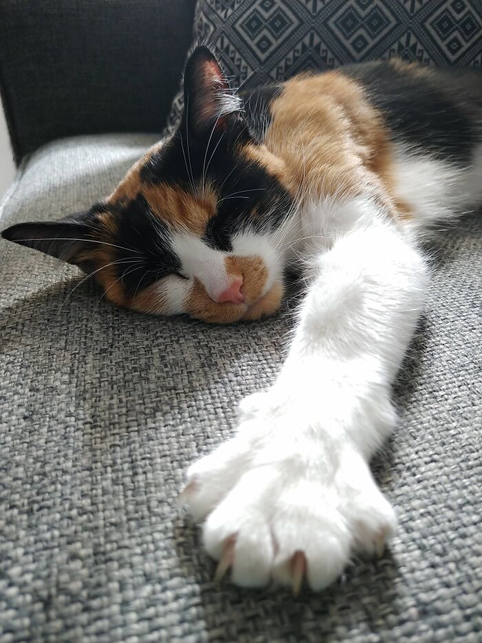 Suki.....murder Digits Always At The Ready!