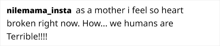 Artist Who Makes People Cry With Her Animal Comics Just Released A New One About A Swan Inspired By True Events