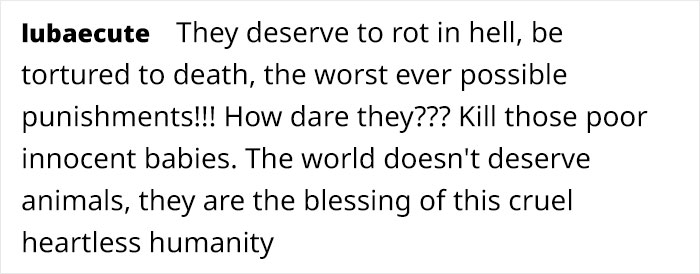 Artist Who Makes People Cry With Her Animal Comics Just Released A New One About A Swan Inspired By True Events Artist Who Makes People Cry With Her Animal Comics Just Released A New One About A Swan Inspired By True Events