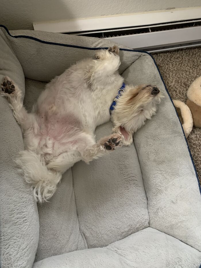 Not Brody's Most Flattering Look. He Sleeps So Weird!