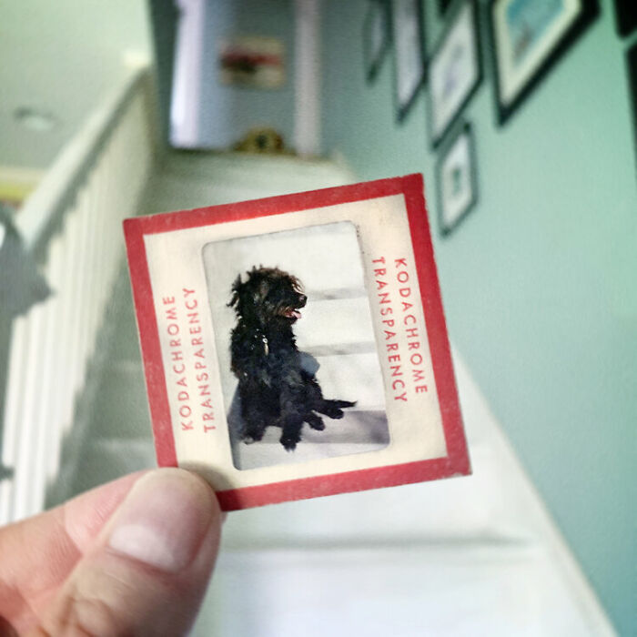 Photographer Shows Slides From The Past On Current Photographs Recording The Feeling Of The Passage Of Time