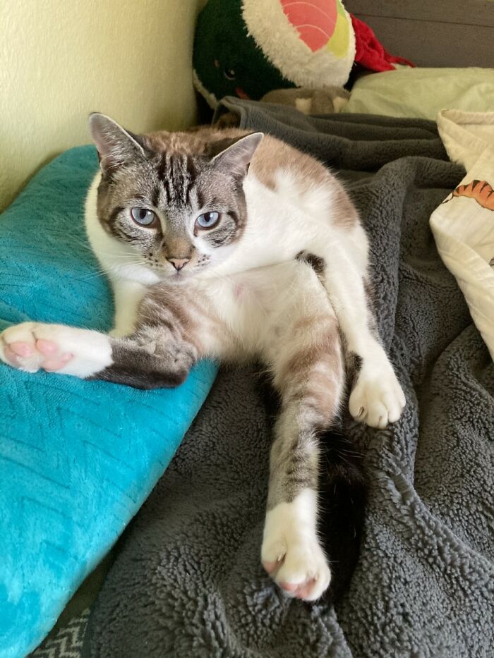 He Got Mad I Woke Him Up