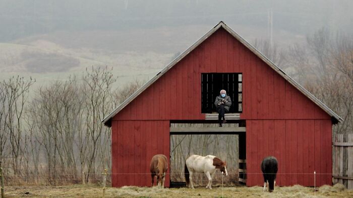 Bernie In A Barn