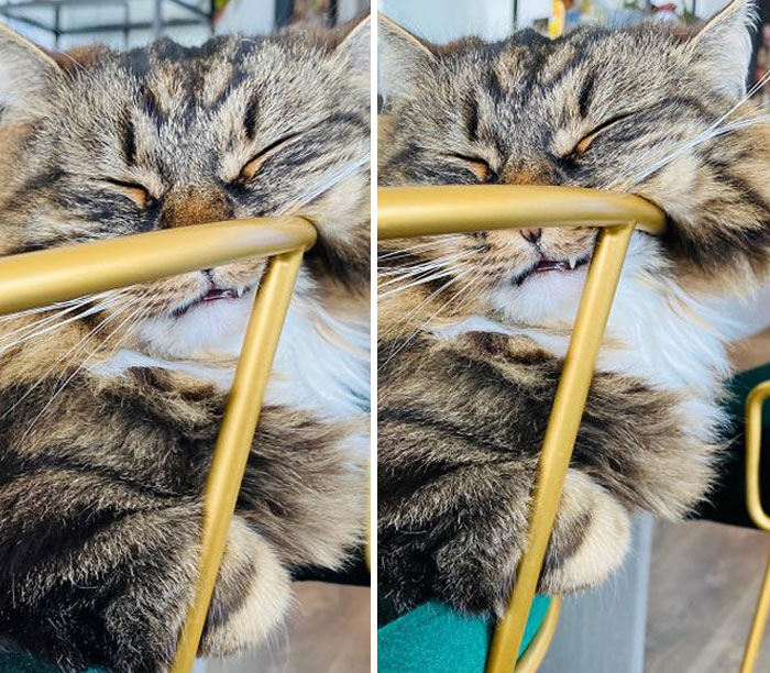 Lol Who Sleeps Like This?