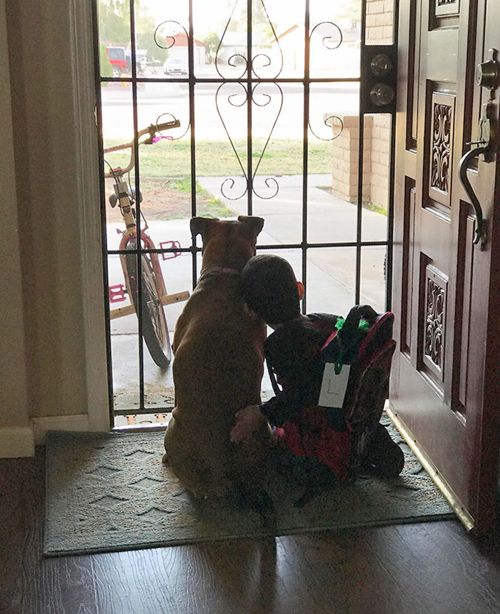 My Son And His Dog. Waiting For The Bus