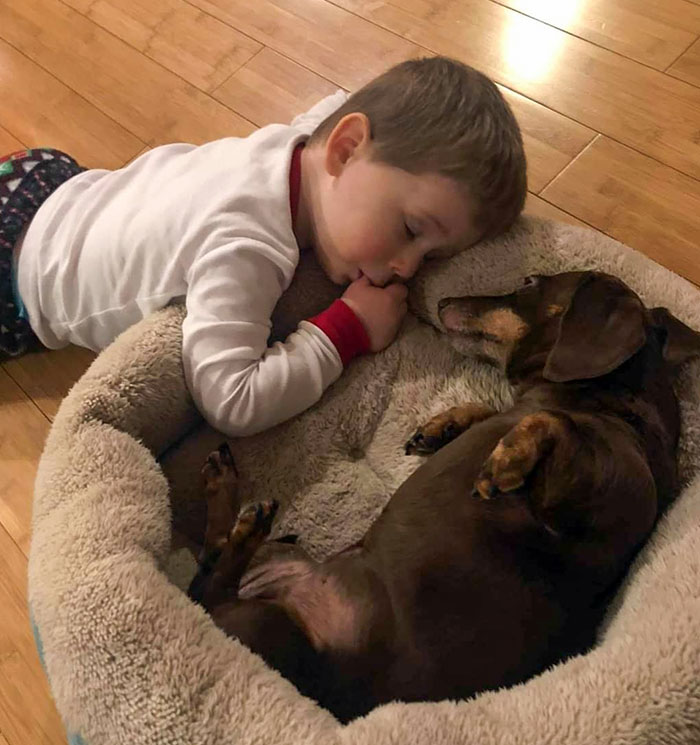 For My Cake Day, I Give You My 2-Year-Old Nephew Asleep On His Doggo Daphni's Bed. So. Much. Cute