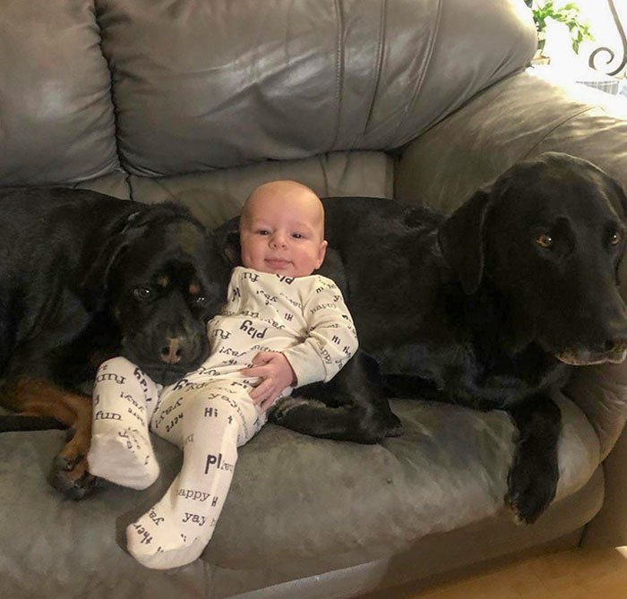 My 4-Month-Old Nephew Lounging With His Two Pals