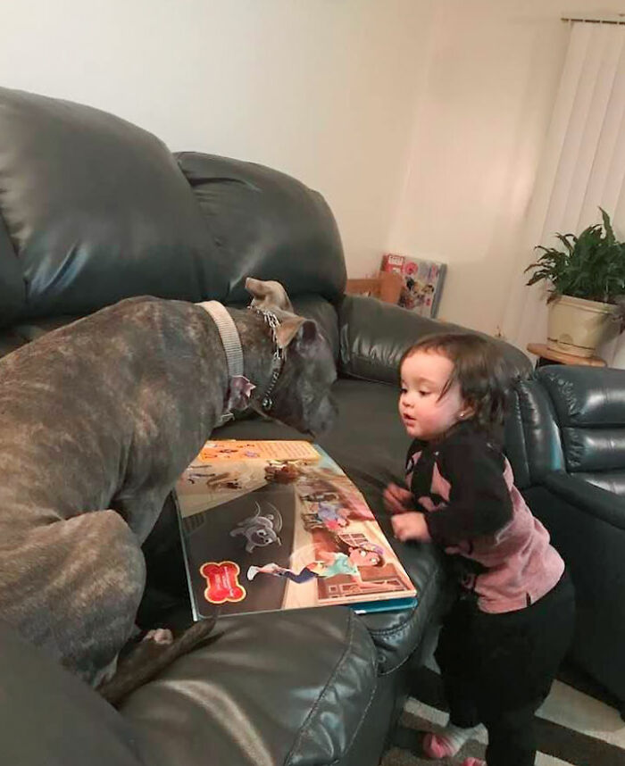 My Niece Is Reading To My Dog Right Now
