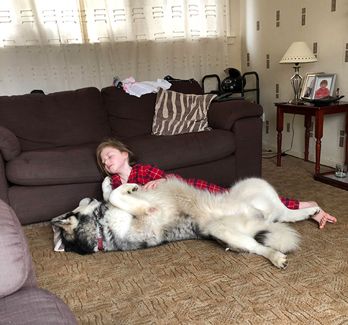 My Daughter Marley And My Dog Bear Have A Special Bond. He's Still Only A Puppy And She Is Ten Years Old. He's Huge. They Are A Fantastic Breed Of Dog