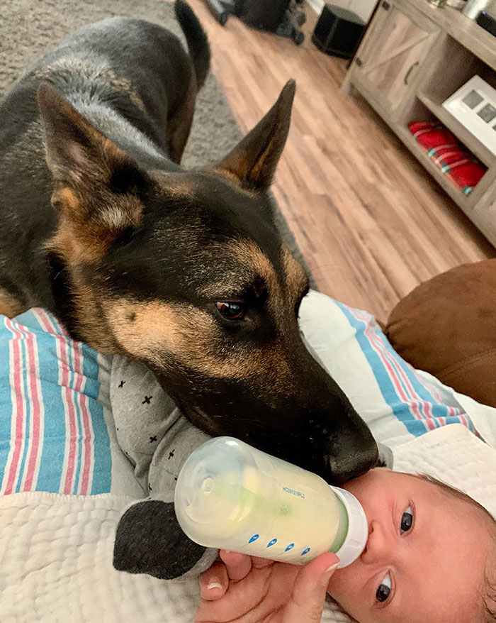 He Won’t Leave His Side