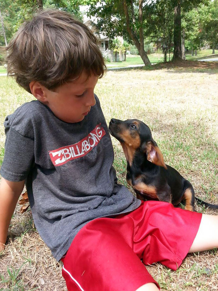 My Son And His New Rescue Puppy, An Instant Connection