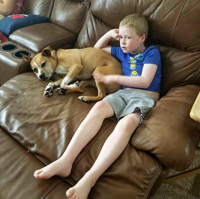 This Old Girl Is Not A Therapy Dog, But She Might As Well Be For My Son