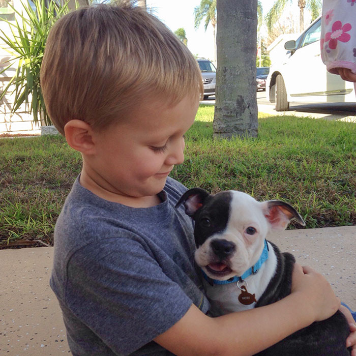 My Boy Meeting His New Pup For The First Time