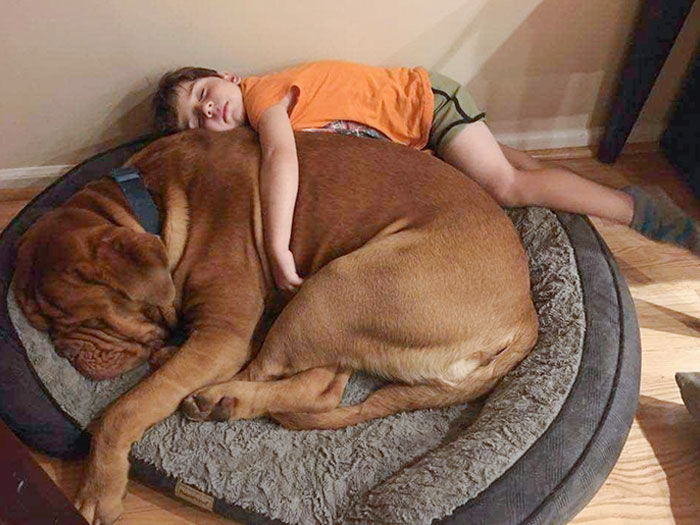 My Little Cousin And His Best Friend Sleep Together