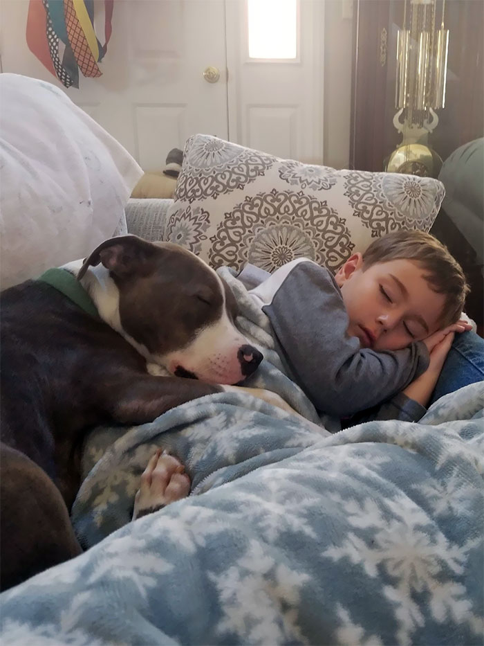 Nephew Decided To Take A Nap On Me, Beau Decided To Join Him