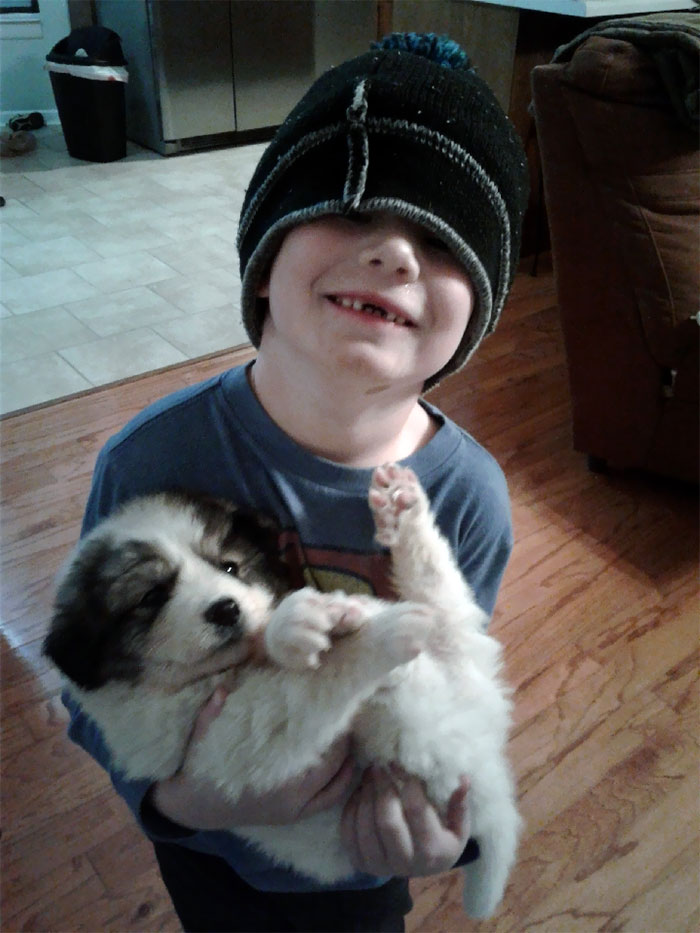 My Nephew Got His First Puppy Yesterday And Was So Excited
