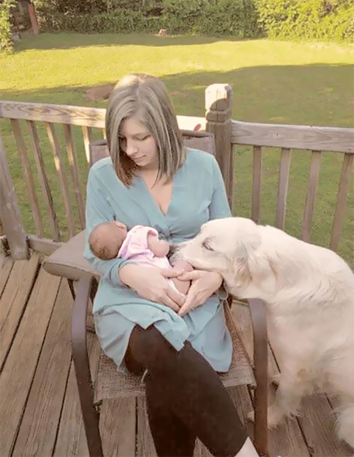 Pearl, My Aspergers Service Dog, Sniffing My Baby For The First Time