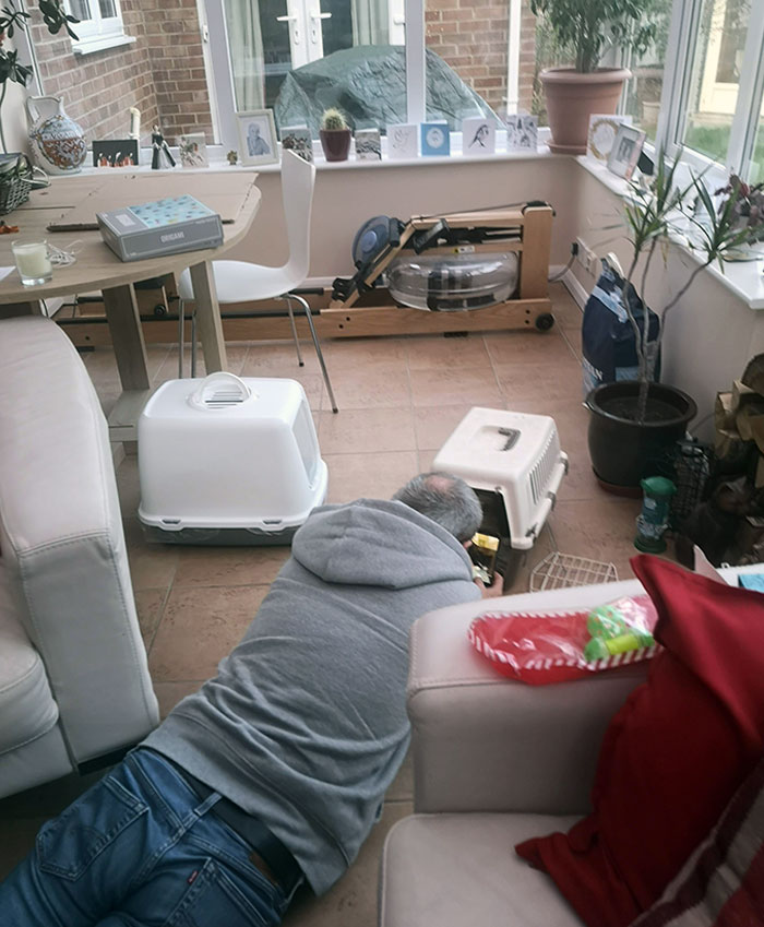 My Stepdad Didn't Want A Kitten The Whole Time We Were Looking For One, This Is Him Within 30 Seconds After The Kitten Arrived