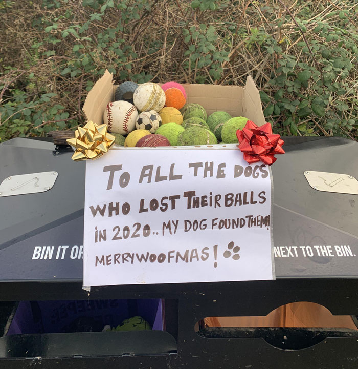 So That’s Where All My Tennis Balls Went