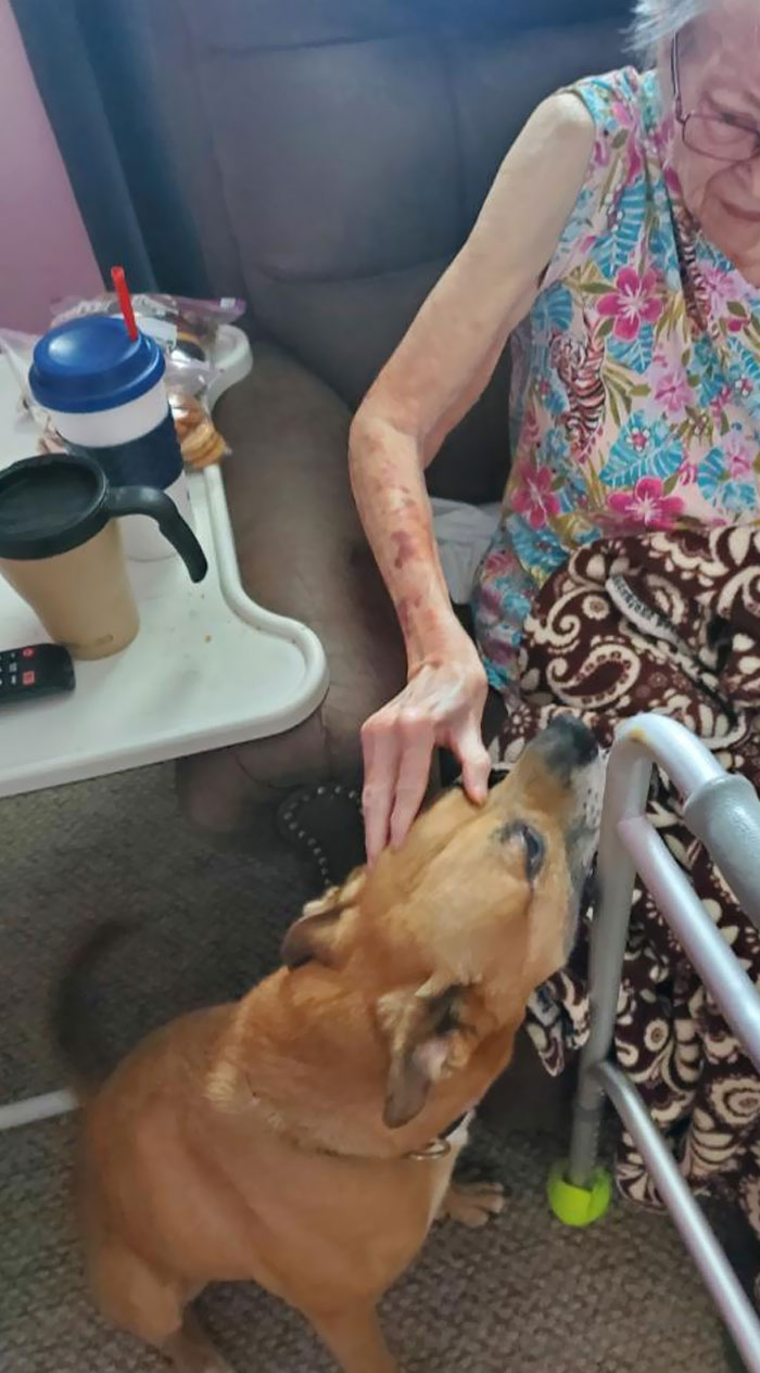 My Grandma Has Some Mild Dementia, But She Always Recognizes My Boy When We Come To Visit