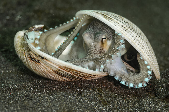 "Shut The Front Door" By Sam Sloss