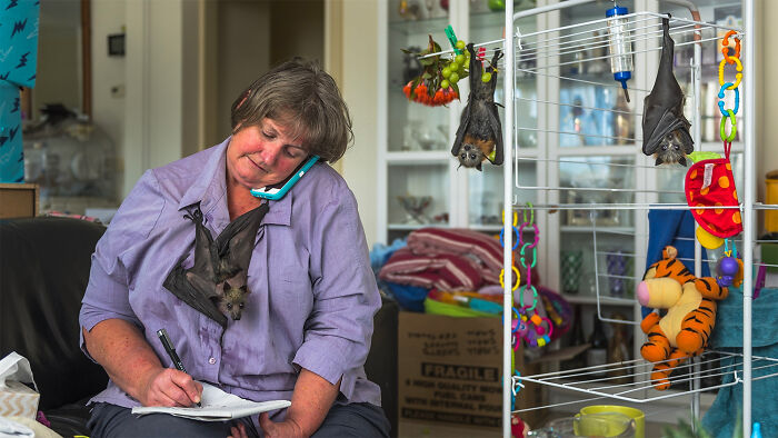 "Bat Woman" By Douglas Gimesy