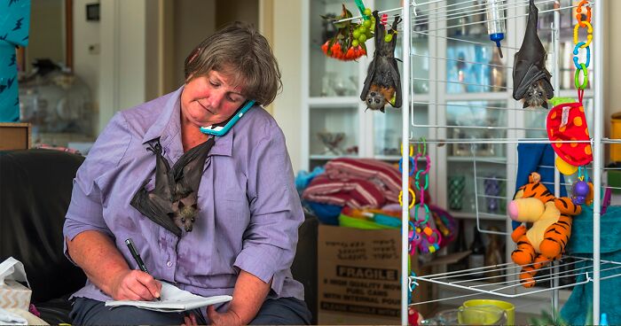 25 Pics From The ‘Wildlife Photographer Of The Year’ Contest That The Public Loved Most