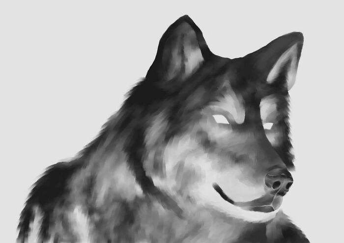 An Old Drawing Of My Doggo