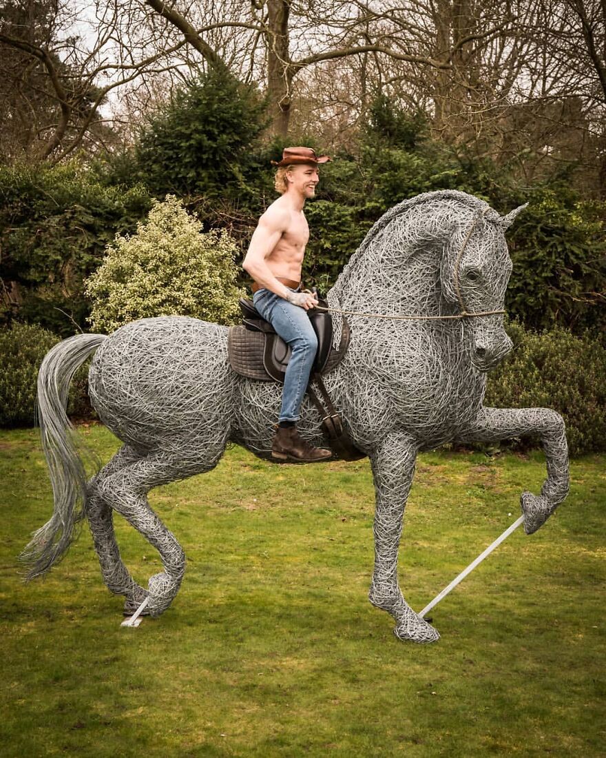 This Artist Makes Stunning Horse Sculptures Out Of Wire