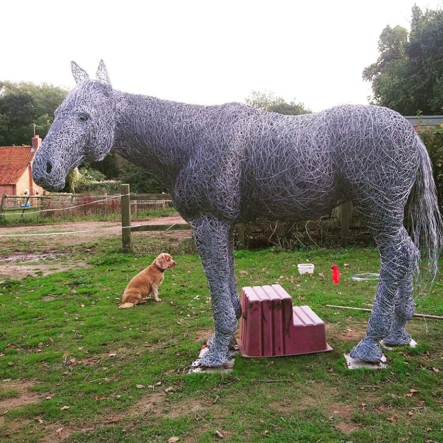This Artist Makes Stunning Horse Sculptures Out Of Wire