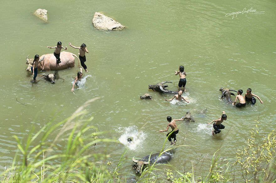 My 29 Pictures That Show The Relationship Between Buffalos And Vietnamese Farmers